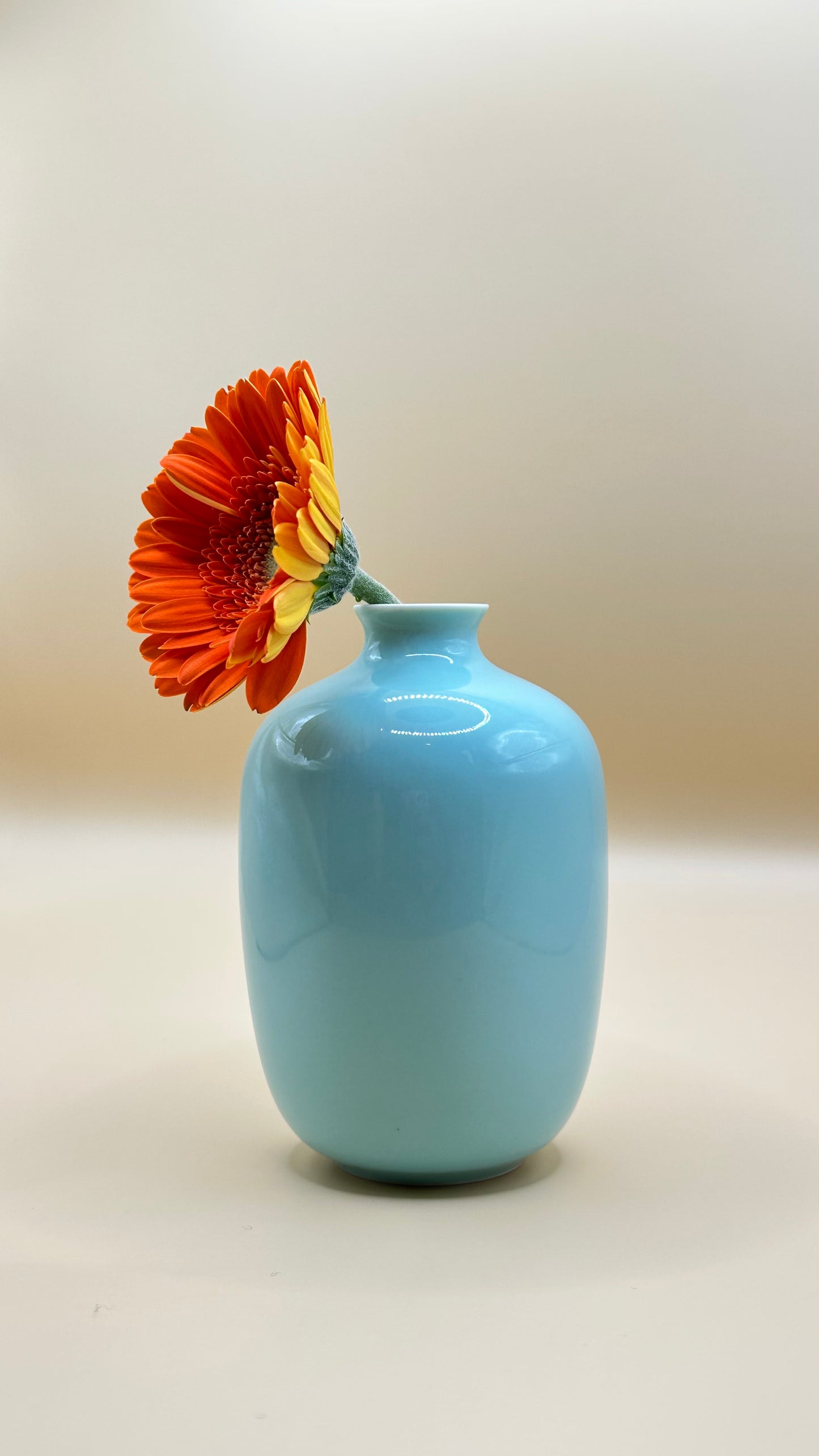 Glossy Porcelain Mini Plum Vase