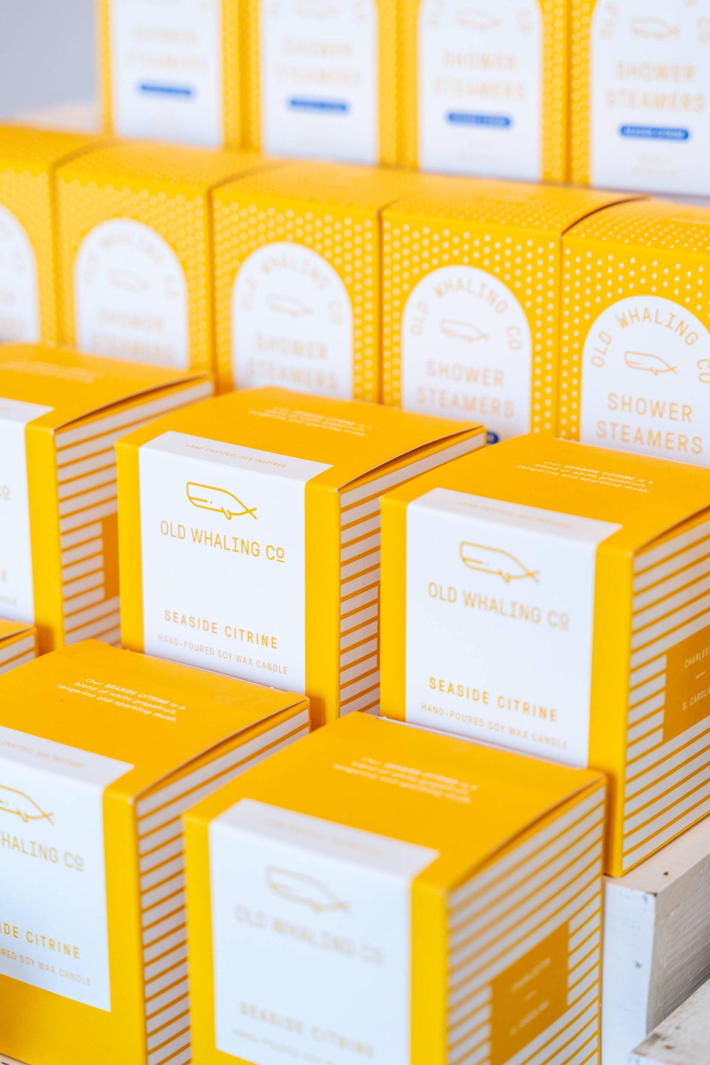 Old Whaling Company Seaside Citrine Candle