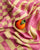 Pink/Pistachio