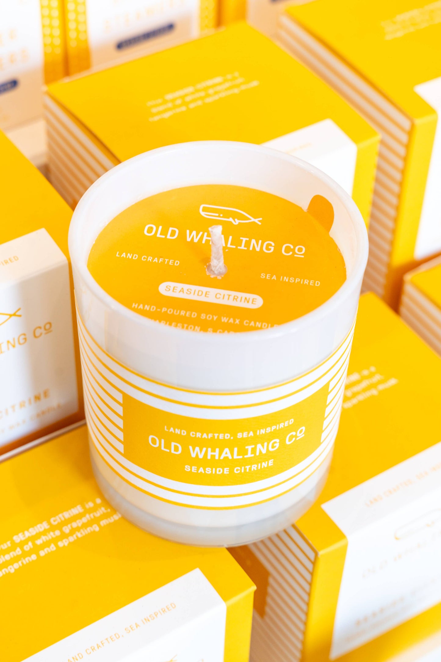 Old Whaling Company Seaside Citrine Candle