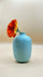 celadon