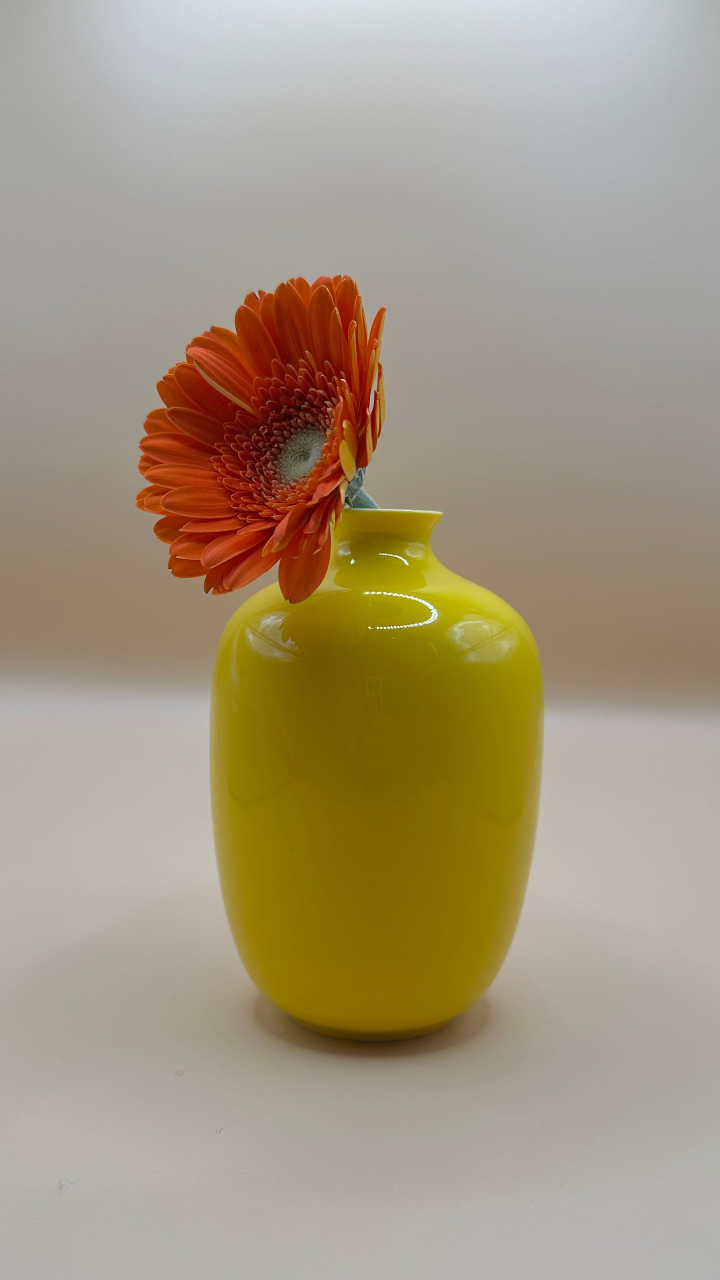 Glossy Porcelain Mini Plum Vase