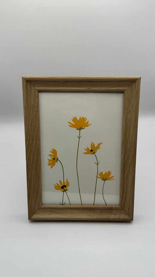 Daisies Framed Print, Signed by Artist